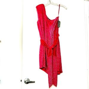 Never worn new with tags stunning Retrofete X REVOLVE Ella Dress in Fuchsia